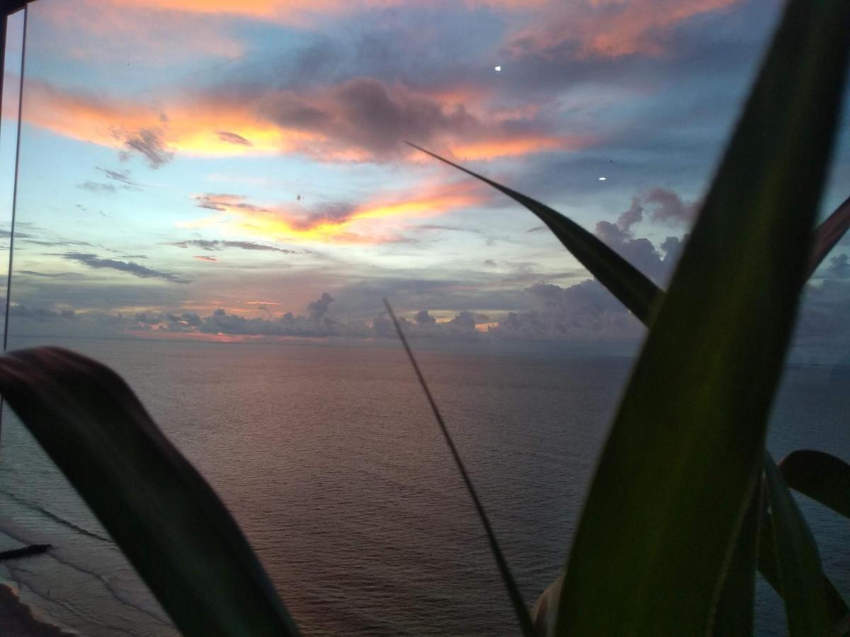 Cartagena Palmetto Beach Bella Vista エクステリア 写真